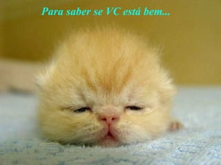 Para saber se VC está bem...   