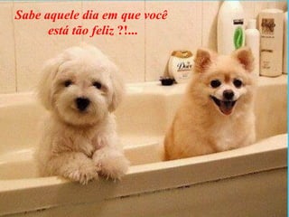 Sabe aquele   dia em que você  está tão feliz  ?!... 