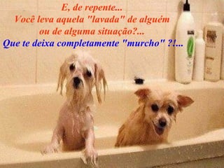 E, de repente...  Você leva aquela "lavada" de alguém  ou de alguma situação?...  Que te deixa completamente "murcho" ?!... 