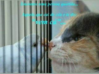 Encontre uma pessoa querida... Aquela que cai do céu e te diz: "vem cá"...   