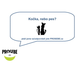 Kočka, nebo pes? ptali jsme se/odpovídali jste PROSEBE.cz 