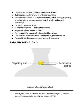  Thyroid gland is made of follicles andstromal tissues:
 Iodine is essential for synthesis of thyroid hormones.
 Deficiency of iodine leads to hypothyroidism(Goitre). During pregnancy,
hypothyroidismmay causestuntedgrowthof baby and mental
retardation.
 Thyroid hormones (T3 & T4).
 T3- Triiodothyronine, T4- Tetraiodothyronine
 Regulate the basal metabolic rate.
 They support the process of redblood cell formation.
 They control the metabolismof carbohydrates, proteins andfats.
 Thyrocalcitoninhormone regulates blood calcium levels.
PARATHYROID GLAND-
 Parathyroid Gland- located on the back side of thyroid gland, secretes
peptide hormonecalled parathyroid hormone(PTH).
Location of parathyroid gland
 