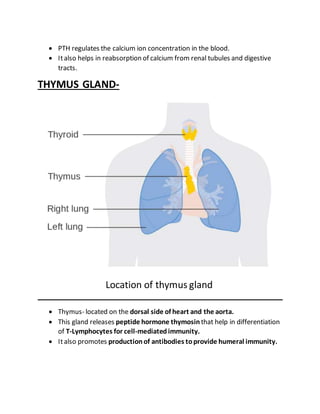  PTH regulates the calcium ion concentration in the blood.
 Italso helps in reabsorption of calcium from renal tubules and digestive
tracts.
THYMUS GLAND-
 Thymus- located on the dorsal side of heart and the aorta.
 This gland releases peptide hormone thymosin that help in differentiation
of T-Lymphocytes for cell-mediatedimmunity.
 Italso promotes productionof antibodies toprovide humeral immunity.
Location of thymus gland
 