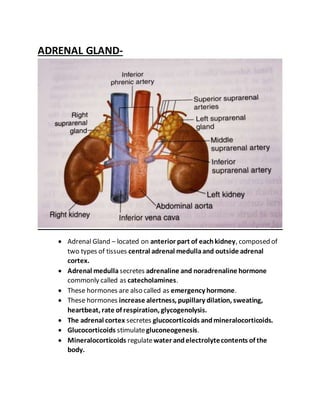 ADRENAL GLAND-
 Adrenal Gland – located on anterior part of eachkidney, composed of
two types of tissues central adrenal medullaand outside adrenal
cortex.
 Adrenal medulla secretes adrenaline and noradrenaline hormone
commonly called as catecholamines.
 These hormones are also called as emergency hormone.
 These hormones increase alertness, pupillary dilation, sweating,
heartbeat, rate of respiration, glycogenolysis.
 The adrenal cortex secretes glucocorticoids andmineralocorticoids.
 Glucocorticoids stimulategluconeogenesis.
 Mineralocorticoids regulatewater andelectrolytecontents of the
body.
 