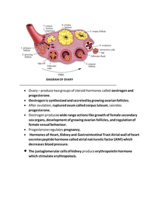  Ovary –produce two groups of steroid hormones called oestrogen and
progesterone.
 Oestrogen is synthesizedandsecretedby growing ovarianfollicles.
 After ovulation, rupturedovum calledcorpus luteum, secretes
progesterone.
 Oestrogen produces wide range actions like growthof female secondary
sex organs, development of growing ovarian follicles, andregulationof
female sexual behaviour.
 Progesteroneregulates pregnancy.
 Hormones of Heart, Kidney and Gastrointestinal Tract Atrial wall of heart
secretespeptidehormone calledatrial natriuretic factor (ANF) which
decreases bloodpressure.
 The juxtaglomerular cellsof kidney produceerythropoietinhormone
which stimulate erythropoiesis.
DIAGRAM OF OVARY
 