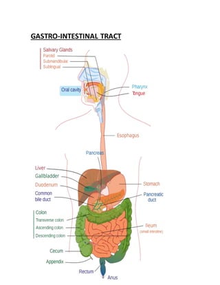 GASTRO-INTESTINAL TRACT
 