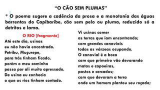“O CÃO SEM PLUMAS”
* O poema sugere a cadência da prosa e a monotonia das águas
barrentas do Capibaribe, cão sem pelo ou pluma, reduzido só a
detritos e lama.
O RIO [fragmento]
Até este dia, usinas
eu não havia encontrado.
Petribu, Muçurepe,
para trás tinham ficado,
porém o meu caminho
passa por ali muito apressado.
De usina eu conhecia
o que os rios tinham contado.
Vi usinas comer
as terras que iam encontrando;
com grandes canaviais
todas as várzeas ocupando.
O canavial é a boca
com que primeiro vão devorando
matas e capoeiras,
pastos e cercados;
com que devoram a terra
onde um homem plantou seu roçado;
 