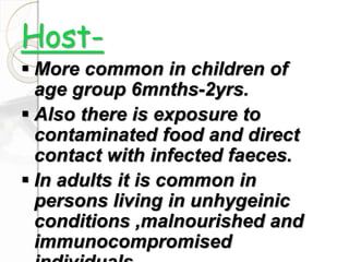 Host-
 More common in children of
age group 6mnths-2yrs.
 Also there is exposure to
contaminated food and direct
contact with infected faeces.
 In adults it is common in
persons living in unhygeinic
conditions ,malnourished and
immunocompromised
 