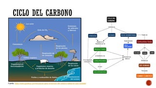 Fuente: https://www.guioteca.com/educacion-para-ninos/ciclo-del-carbono-sabes-en-que-consiste/
 