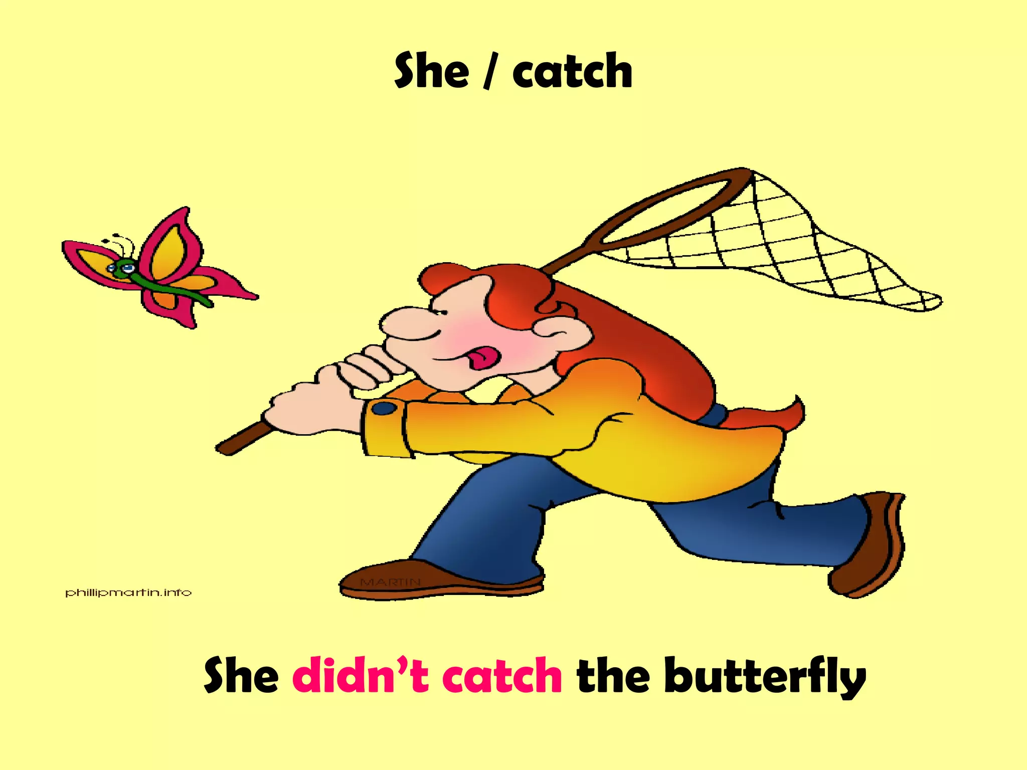 She / catch
She didn’t catch the butterfly
 