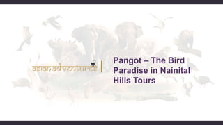 Pangot – The Bird
Paradise in Nainital
Hills Tours
 