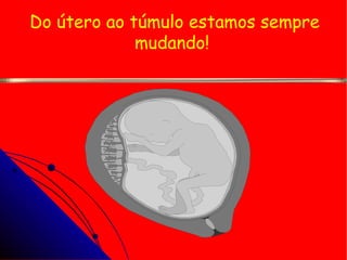 Do útero ao túmulo estamos sempre mudando!  