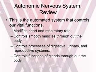 Autonomic Nervous System,
Review
• This is the automated system that controls
our vital functions.
– Modifies heart and respiratory rate
– Controls smooth muscles through out the
body
– Controls processes of digestive, urinary, and
reproductive systems.
– Controls functions of glands through out the
body.
 