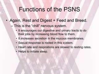 Functions of the PSNS
• Again, Rest and Digest + Feed and Breed.
– This is the “chill” nervous system.
• It encourages our digestive and urinary tracts to do
their jobs by increasing blood flow to them.
• It increases secretion in the mucous membranes.
• Sexual response is rooted in this system.
• Heart rate and respirations are slowed to resting rates.
• Helps to initiate sleep.
 