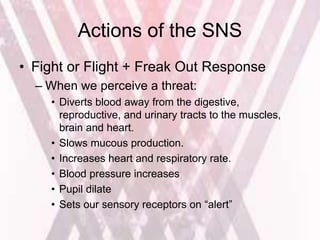 Actions of the SNS
• Fight or Flight + Freak Out Response
– When we perceive a threat:
• Diverts blood away from the digestive,
reproductive, and urinary tracts to the muscles,
brain and heart.
• Slows mucous production.
• Increases heart and respiratory rate.
• Blood pressure increases
• Pupil dilate
• Sets our sensory receptors on “alert”
 