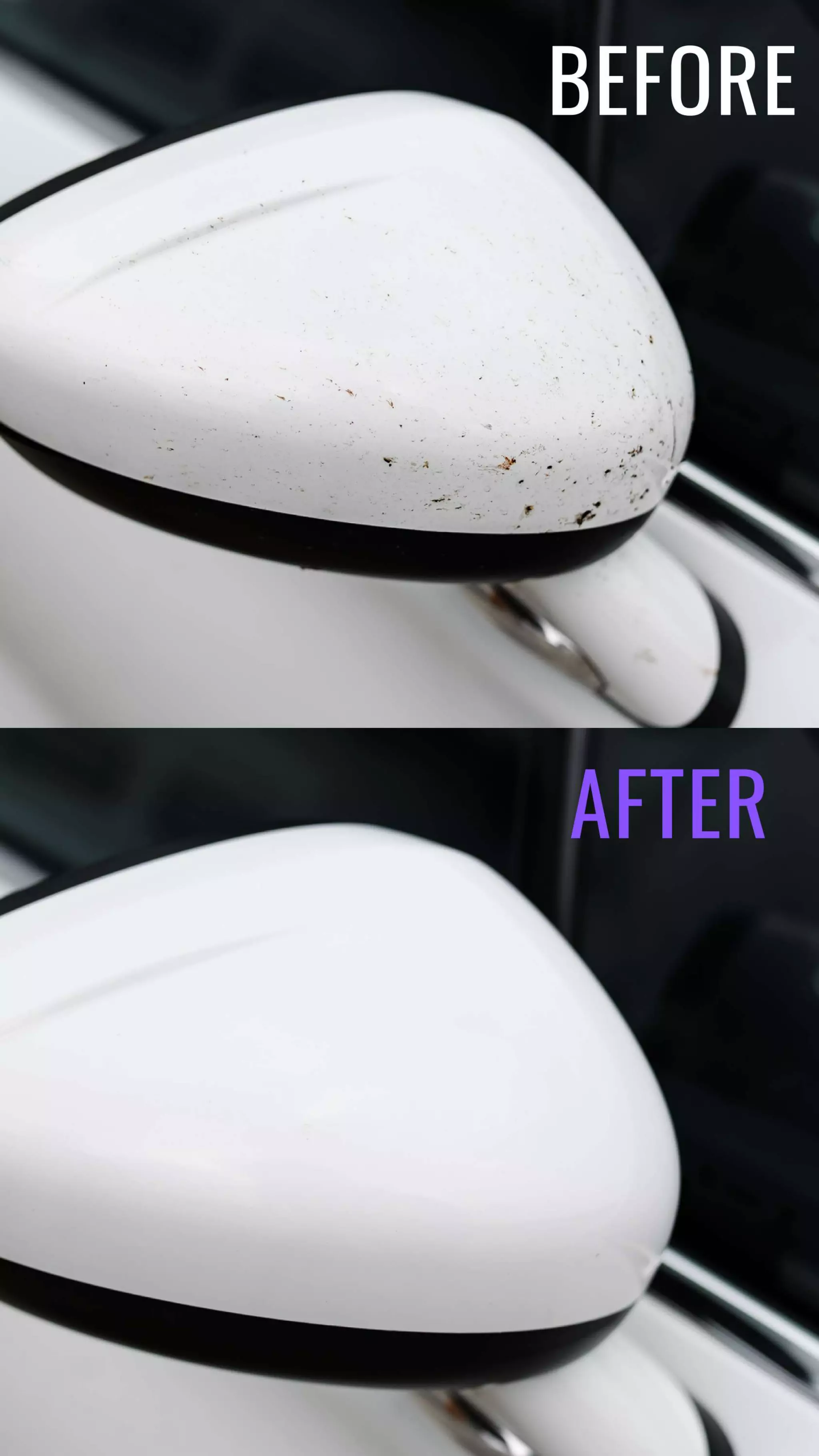 K2 Nuta AntiInsect for removing insects from windows | PDF