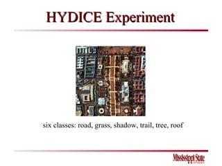 HYDICE Experiment six classes: road, grass, shadow, trail, tree, roof 