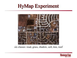 HyMap Experiment six classes: road, grass, shadow, soil, tree, roof 