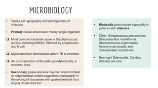 MICROBIOLOGY
• Varies with geography and pathogenesis of
infection
• Primary psoas abscesses: mostly single organism
 Most common bacterial cause is Staphylococcus
aureus, including MRSA; followed by streptococci
and E coli
 Mycobacterium tuberculosis where TB is common.
 As a complication of Brucella spondylodiscitis, in
endemic area.
• Secondary psoas abscess may be monomicrobial
or polymicrobial; enteric organisms (particularly in
the setting of abscesses with gastrointestinal tract
origin). Anaerobes too
• Klebsiella pneumoniae especially in
patients with diabetes.
• Other: Streptococcus pneumoniae,
Streptobacillus moniliformis,
Staphylococcus lugdunensis,
Actinomyces israelii, and
disseminated nocardiosis.
• Non-typhi Salmonella, Candida
albicans are rare
 