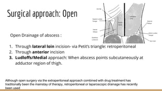 Surgical approach: Open
Open Drainage of abscess :
1. Through lateral loin incision- via Petit’s triangle: retroperitoneal
2. Through anterior incision
3. Ludloffs/Medial approach: When abscess points subcutaneously at
adductor region of thigh.
Although open surgery via the extraperitoneal approach combined with drug treatment has
traditionally been the mainstay of therapy, retroperitoneal or laparoscopic drainage has recently
been used
 