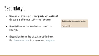 Secondary…
● Spread of infection from gastrointestinal
disease is the most common source
● Renal disease :second most common
source.
● Extension from the psoas muscle into
the iliacus muscle is a common sequela.
Tubercular-from potts spine
Pyogenic
 