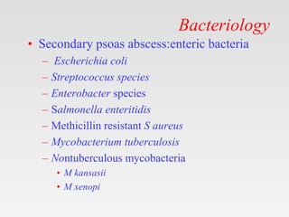 Bacteriology
• Secondary psoas abscess:enteric bacteria
– Escherichia coli
– Streptococcus species
– Enterobacter species
– Salmonella enteritidis
– Methicillin resistant S aureus
– Mycobacterium tuberculosis
– Nontuberculous mycobacteria
• M kansasii
• M xenopi
 