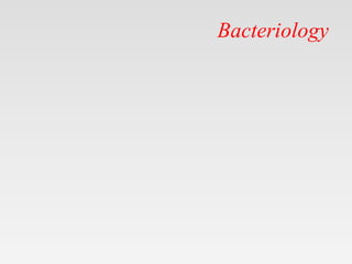 Bacteriology
 