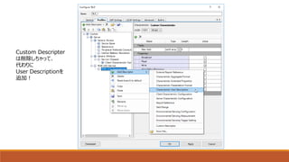 Custom Descripter
は削除しちゃって、
代わりに
User Descriptionを
追加！
 