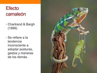 Efecto
camaleón
• Chartrand & Bargh
 (1999)

• Se refiere a la
 tendencia
 inconsciente a
 adoptar posturas,
 gestos y maneras
 de los demás.
 