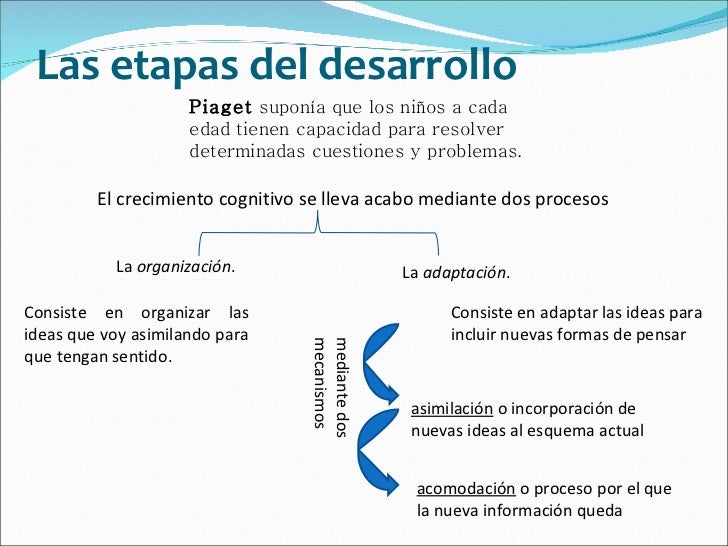 17 Ideas De Evolutiva Hitos Del Desarrollo Estimulación Temprana Desarrollo Infantil