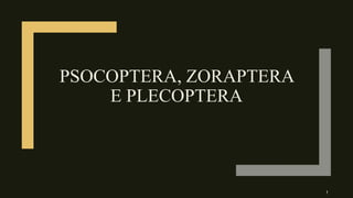 PSOCOPTERA, ZORAPTERA
E PLECOPTERA
1
 