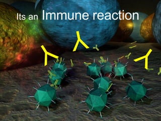 Y Y Y Its an   Immune   reaction   