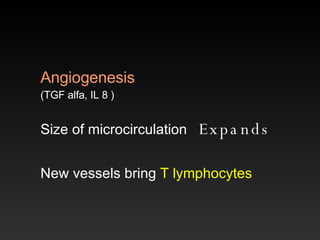 Angiogenesis   (TGF alfa, IL 8 ) Size of microcirculation  Expands   New vessels bring  T   lymphocytes 
