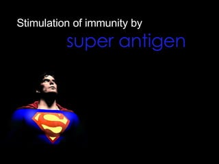 Stimulation of immunity by    super antigen   