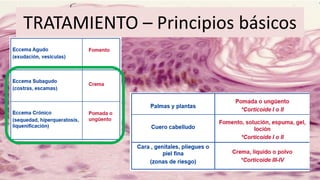 TRATAMIENTO – Principios básicos
 