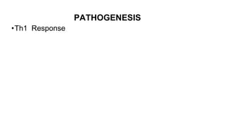 PATHOGENESIS
•Th1 Response
 
