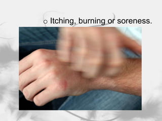 Topical medications such as lotions, ointments, creams, and shampoos.