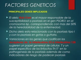  El alelo HLA-Cw6 es el mayor responsable de la
susceptibilidad a psoriasis en el gen PSORS1 en el
cromosoma 6p, correspondiendo con mas del 50%
de la heredabilidad de la enfermedad.
 Dicho alelo esta relacionado con la psoriasis tipo I
y con la psoriasis en gotas o guttata.
 Variaciones en los genes que codifican los
receptores de la interleukina-23 e interleukina 12B
sugieren un papel genereal de células T y un
papel específico de los linfocitos Th17 en la
pathogenesis de la psoriasis además de como
indicadores de riesgo de padecer psoriasis
FACTORES GENETICOS
PRINCIPALES GENES IMPLICADOS
 