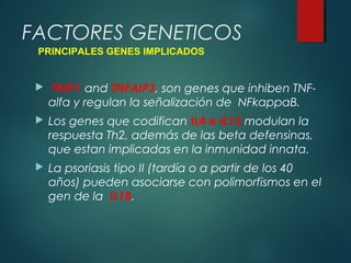  TNIP1 and TNFAIP3, son genes que inhiben TNF-
alfa y regulan la señalización de NFkappaB.
 Los genes que codifican IL4 e IL13 modulan la
respuesta Th2, además de las beta defensinas,
que estan implicadas en la inmunidad innata.
 La psoriasis tipo II (tardía o a partir de los 40
años) pueden asociarse con polimorfismos en el
gen de la IL1B.
FACTORES GENETICOS
PRINCIPALES GENES IMPLICADOS
 