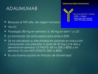 ADALIMUMAB
 Bloquea el TNF-alfa, de origen humano
 Via SC
 Posologia: 80 mg en semana 0, 40 mg en sem 1 y c/2
 La formación de anticuerpos esta entre 6-50%.
 Se ha estudiado su efectividad en psoriasis en inducciòn
comparado con placebo a dosis de 40 mg c/14 dias y
semanal en semana 12 PASI75: 4% vs 53% y 80%) y en
semana 16 con MTX (PASI75: 36% vs 80%)
 Es una buena opción en fracaso de Etanercept.
 