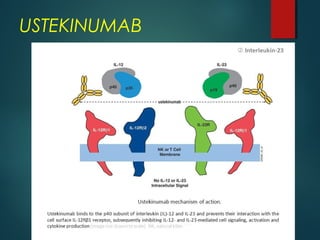 USTEKINUMAB
 
