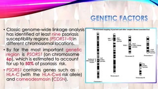 • Classic genome-wide linkage analysis 
has identified at least nine psoriasis 
susceptibility regions (PSORS1–9)in 
different chromosomal locations. 
• By far the most important genetic 
region is PSORS1 (on chromosome 
6p), which is estimated to account 
for up to 50% of psoriasis risk. 
• PSORS1 contains genes such as 
HLA-C (with the HLA-Cw6 risk allele) 
and corneodesmosin (CDSN). 
 