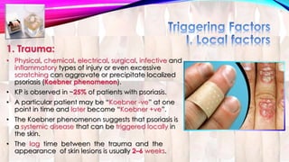 1. Trauma: 
• Physical, chemical, electrical, surgical, infective and 
inflammatory types of injury or even excessive 
scratching can aggravate or precipitate localized 
psoriasis (Koebner phenomenon). 
• KP is observed in ~25% of patients with psoriasis. 
• A particular patient may be “Koebner -ve” at one 
point in time and later become “Koebner +ve”. 
• The Koebner phenomenon suggests that psoriasis is 
a systemic disease that can be triggered locally in 
the skin. 
• The lag time between the trauma and the 
appearance of skin lesions is usually 2–6 weeks. 
 