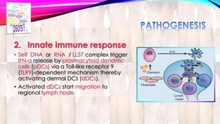 2. Innate immune response 
• Self DNA or RNA / LL37 complex trigger 
IFN-α release by plasmacytoid dendritic 
cells (pDCs) via a Toll-like receptor 9 
(TLR9)-dependent mechanism thereby 
activating dermal DCs (dDCs). 
• Activated dDCs start migration to 
regional lymph node. 
 