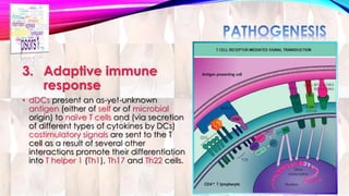 3. Adaptive immune 
response 
• dDCs present an as-yet-unknown 
antigen (either of self or of microbial 
origin) to naïve T cells and (via secretion 
of different types of cytokines by DCs) 
costimulatory signals are sent to the T 
cell as a result of several other 
interactions promote their differentiation 
into T helper 1 (Th1), Th17 and Th22 cells. 
 