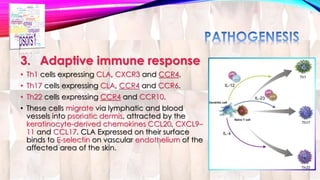 3. Adaptive immune response 
• Th1 cells expressing CLA, CXCR3 and CCR4. 
• Th17 cells expressing CLA, CCR4 and CCR6. 
• Th22 cells expressing CCR4 and CCR10. 
• These cells migrate via lymphatic and blood 
vessels into psoriatic dermis, attracted by the 
keratinocyte-derived chemokines CCL20, CXCL9– 
11 and CCL17. CLA Expressed on their surface 
binds to E-selectin on vascular endothelium of the 
affected area of the skin. 
 