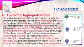 4. Epidermal hyperproliferation 
• Th1 cells release IFN-γ, TNF-α and IL-2 which amplify the 
inflammatory cascade, acting on keratinocytes and dDCs. 
• Th17 cells secrete IL-17A and IL-17F (and also IFN-γ and IL- 
22), which stimulate keratinocyte proliferation and its 
release of β-defensin 1/2, S100A7/8/9 and the neutrophil-recruiting 
chemokines CXCL1, CXCL3, CXCL5 and CXCL8. 
• Th22 cells secrete IL-22, which induces further release of 
keratinocyte-derived T cell-recruiting chemokines. 
• Keratinocytes also release vascular endothelial growth 
factor (VEGF), basic fibroblast growth factor (bFGF), and 
angiopoietin (Ang), thereby promoting neoangiogenesis. 
 