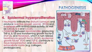 4. Epidermal hyperproliferation 
• Neutrophils infiltrate the stratum corneum and 
produce reactive oxygen species (ROS) and 
α-defensin with antimicrobial activity, as well 
as CXCL8, IL-6 and CCL20. 
• Cross-talk between keratinocytes, producing 
TNF-α, IL-1β and transforming growth factor-β 
(TGF-β), and fibroblasts, which in turn release 
keratinocyte growth factor (KGF), epidermal 
growth factor EGF) and TGF-β, contribute to 
tissue reorganization and deposition of 
extracellular matrix (e.g. collagen, 
proteoglycans). 
 
