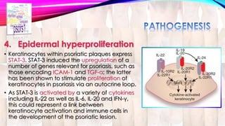 4. Epidermal hyperproliferation 
• Keratinocytes within psoriatic plaques express 
STAT-3. STAT-3 induced the upregulation of a 
number of genes relevant for psoriasis, such as 
those encoding ICAM-1 and TGF-α; the latter 
has been shown to stimulate proliferation of 
keratinocytes in psoriasis via an autocrine loop. 
• As STAT-3 is activated by a variety of cytokines 
including IL-22 as well as IL-6, IL-20 and IFN-γ, 
this could represent a link between 
keratinocyte activation and immune cells in 
the development of the psoriatic lesion. 
 