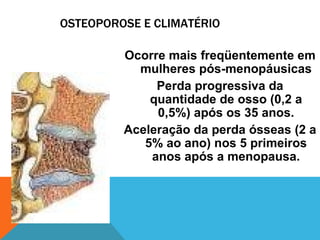 OSTEOPOROSE E CLIMATÉRIO Ocorre mais freqüentemente em mulheres pós-menopáusicas Perda progressiva da quantidade de osso (0,2 a 0,5%) após os 35 anos. Aceleração da perda ósseas (2 a 5% ao ano) nos 5 primeiros anos após a menopausa. 